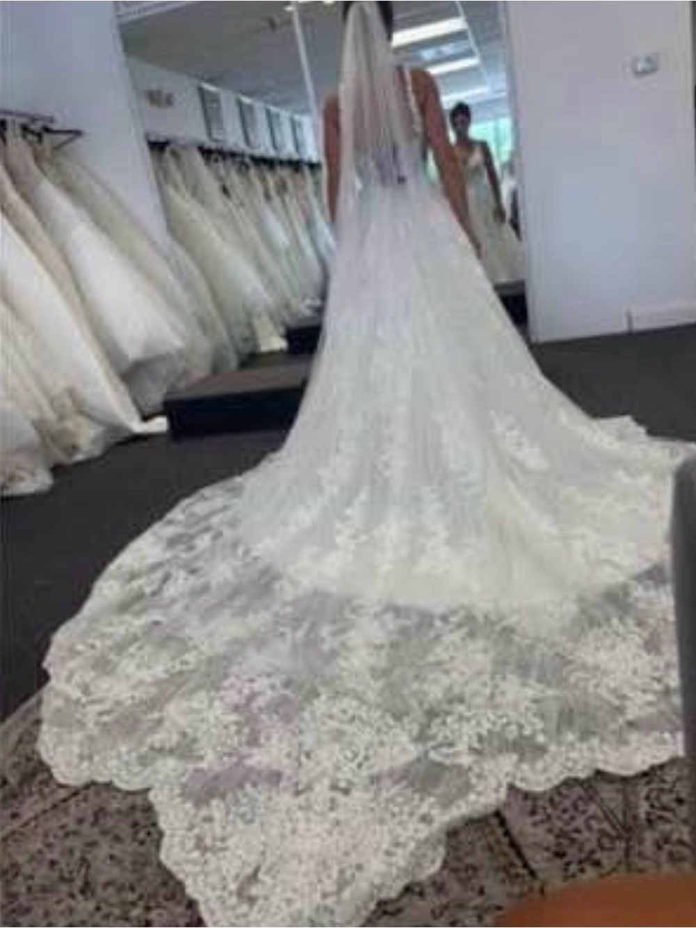 Lace Cathedral Train Wedding Gown - White